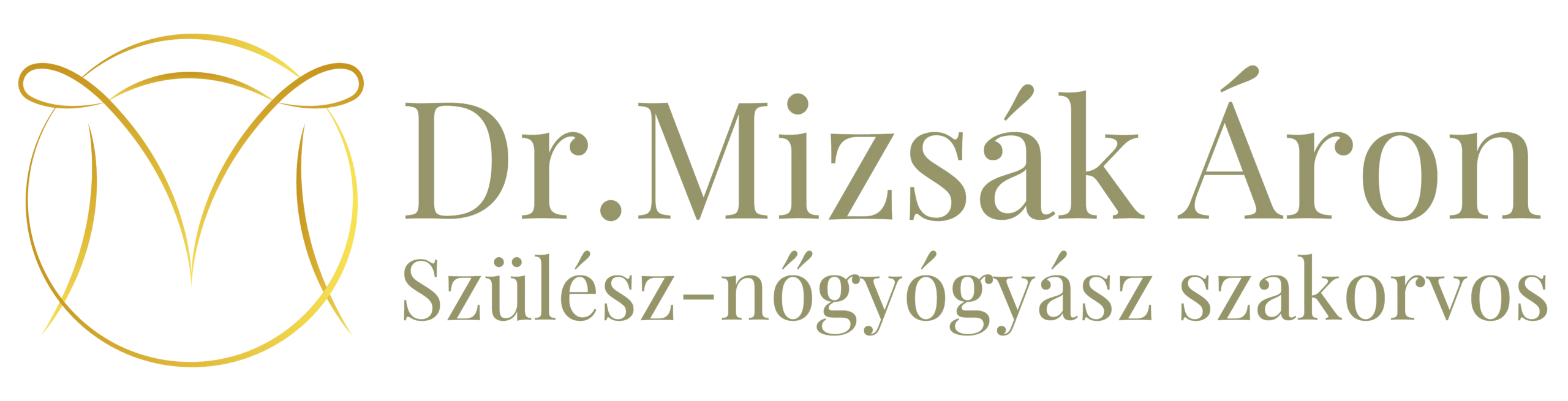 Dr.Mizsák Áron Logo